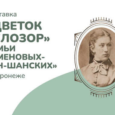 Описание изображения