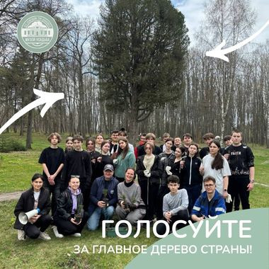 Описание изображения